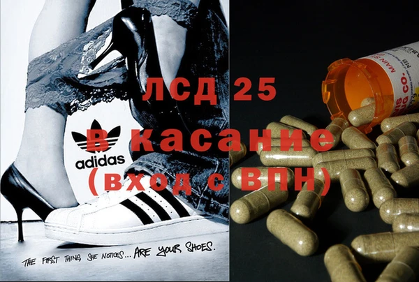 стафф Баксан