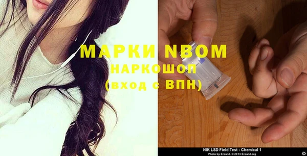 стафф Баксан